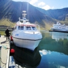 Islandia - Rezerwat przyrody Hesteyri