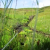 Zdjęcie z Islandii - 