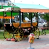 Zdjęcie z Turcji - Alanya