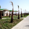 Zdjęcie z Turcji - Hilton Dalaman Resort&Spa