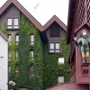 Zdjęcie z Norwegii - Bergen