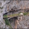 Zdjęcie z Czarnogóry - NP Durmitor