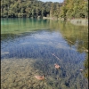 Zdjęcie z Chorwacji - NP Plitvička jezera