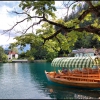 Zdjęcie ze Słowenii - Bled