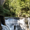 Zdjęcie ze Słowenii - The Vintgar Gorge
