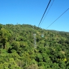 Zdjęcie z Australii - Skyrail