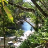 Zdjęcie z Australii - Mossman Gorge