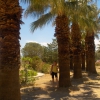 Zdjęcie z Turcji - Pamukkale