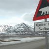 Zdjęcie z Norwegii - 