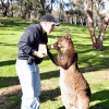 Zdjęcie z Australii - Ale dobre...