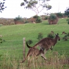 Zdjęcie z Australii - Tam gdzie mama tam i ja