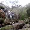Zdjęcie z Australii - Wodospad McKenzie Falls