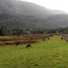 Zdjęcie z Australii - Polanka kolo miejsca...