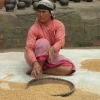 Zdjęcie z Nepalu - 