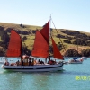 Zdjęcie z Nowej Zelandii - Akaroa