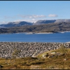 Zdjęcie z Norwegii - 