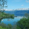 Zdjęcie z Norwegii - Hardangerfjord