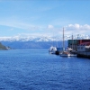Zdjęcie z Norwegii - Hardangerfjord