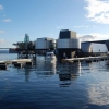 Zdjęcie z Norwegii - Stavanger