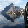 Zdjęcie z Norwegii - Lofoten