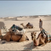 Zdjęcie z Tunezji - Sahara