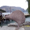 Zdjęcie z Nowej Zelandii - Kiwi nielot- symbol...