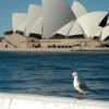 Zdjęcie z Australii - 