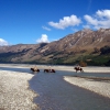 Zdjęcie z Nowej Zelandii - Okolice Glenorchy