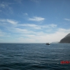 Zdjęcie z Nowej Zelandii - Morze Tasman Sea...