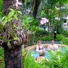 Zdjęcie z Tajlandii - Jacuzzi przy "naszym"...