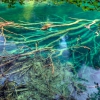 Zdjęcie z Chorwacji - Plitvice