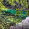 Zdjęcie z Chorwacji - Plitvice