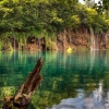 Zdjęcie z Chorwacji - Plitvice
