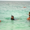 Zdjęcie z Tajlandii - Snorkeling na rafie