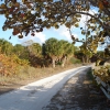 Zdjęcie ze Stanów Zjednoczonych - Key Biscayne