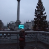 Zdjęcie z Wielkiej Brytanii - Trafalgar Square