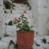 Zdjęcie z Grecji - Nisyros