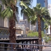 Zdjęcie z Australii - Sydney