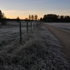 Zdjęcie z Polski - Mroźny poranek - Podlasie