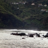 Zdjęcie z Portugalii - Porto da Cruz