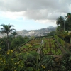 Zdjęcie z Portugalii - Jardim Botanico