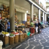 Zdjęcie z Portugalii - Funchal