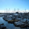 Zdjęcie z Portugalii - port w Funchal