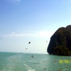Zdjęcie z Tajlandii - Brazowe orly...