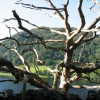 Zdjęcie z Wielkiej Brytanii - Lake District