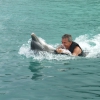 Zdjęcie z Jamajki - Ocho Rios - Dolphin Cove