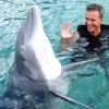 Ocho Rios - Dolphin Cove