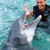 Ocho Rios - Dolphin Cove