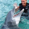 Zdjęcie z Jamajki - Ocho Rios - Dolphin Cove