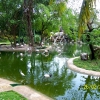 Zdjęcie z Malezji - Park Ptasi Taman Burung